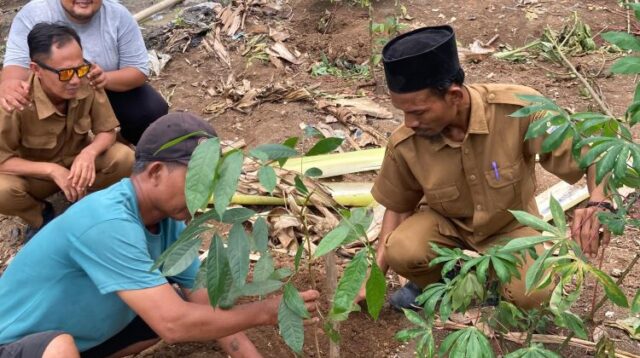 Penanaman bibit pohon di lahan bekas TPS liar di Desa Karangsegar, Kecamatan Pebayuran, Kabupaten Bekasi.