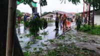 Kegiatan penebangan pohon oleh aparatur Pemerintah Kelurahan Bahagia, Kecamatan Babelan, Kabupaten Bekasi ini mendapat dukungan dari berbagai pihak lain seperti Babinsa, Bimaspol, anggota Perlindungan Masyarakat (Linmas) hingga perwakilan RT/RW dan warga sekitar.