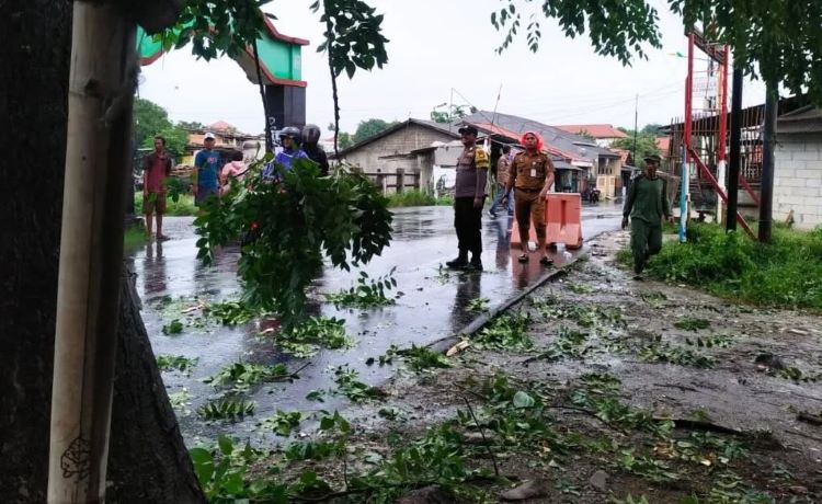 Kegiatan penebangan pohon oleh aparatur Pemerintah Kelurahan Bahagia, Kecamatan Babelan, Kabupaten Bekasi ini mendapat dukungan dari berbagai pihak lain seperti Babinsa, Bimaspol, anggota Perlindungan Masyarakat (Linmas) hingga perwakilan RT/RW dan warga sekitar.