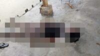 Seorang pria berinisial H asal Cibarusah meninggal dunia akibat tersambar petir saat memancing di salah satu pemancingan di wilayah Desa Jayamulya, Kecamatan Serang Baru, Kabupaten Bekasi, Sabtu (08/03) sore