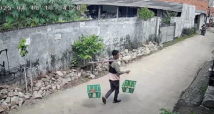 Aksi pencurian yang dilakukan pelaku terekam kamera CCTV milik warga. Dalam rekaman tersebut, terlihat pelaku berpura-pura menjadi pedagang buah gendong, kemudian mengambil sepeda motor yang terparkir dan meninggalkan keranjang buahnya di lokasi.  Video tersebut kemudian disebarluaskan warga ke grup WhatsApp warga dan menjadi viral di sosial media.