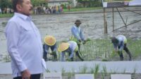 aksa Agung Republik Indonesia, Burhanuddin saat menghadiri acara Jaksa Mandiri Pangan yang berlangsung di Desa Srimahi, Kecamatan Tambun Utara, Kabupaten Bekasi.