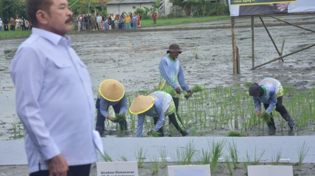 aksa Agung Republik Indonesia, Burhanuddin saat menghadiri acara Jaksa Mandiri Pangan yang berlangsung di Desa Srimahi, Kecamatan Tambun Utara, Kabupaten Bekasi.