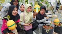 Kelompok Tani Melonesia yang berada di Kampung Wangkel, Desa Sukajaya, Kecamatan Cibitung, Kabupaten Bekasi, menghadirkan inovasi eduwisata berupa kebun melon premium berbasis organik. Di lokasi ini, pengunjung bisa melakukan wisata petik melon langsung dari pohon | Foto: Hafid Faidi