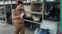 Menjelang Idul Adha, petugas pemeriksaan hewan kurban bergerak mobile menyisir berbagai lapak penjualan di seluruh wilayah Kabupaten Bekasi.