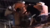 Sebuah rekaman video yang memperlihatkan detik-detik penangkapan seorang pria terduga pelaku pelecehan seksual terhadap anak beredar di media sosial. Kejadian tersebut berlangsung di Kampung Pelaukan, Desa Karang Rahayu, Kecamatan Karangbahagia, Kabupaten Bekasi, pada Minggu (22/06) malam.