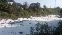 Pencemaran di aliran Kali Cilemahabang kembali menjadi sorotan setelah fenomena busa putih memenuhi aliran sungai pada tanggal 01 Juli 2025 lalu. Kejadian tersebut diduga berasal dari limbah industri yang mencemari sungai hingga viral di media sosial.