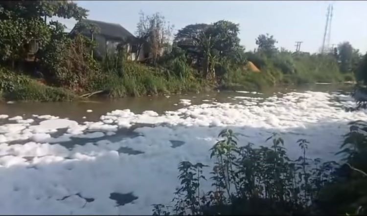 Pencemaran di aliran Kali Cilemahabang kembali menjadi sorotan setelah fenomena busa putih memenuhi aliran sungai pada tanggal 01 Juli 2025 lalu. Kejadian tersebut diduga berasal dari limbah industri yang mencemari sungai hingga viral di media sosial.