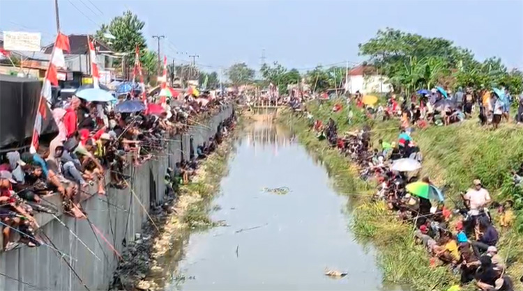 Ribuan warga, terutama para pehobi memancing, tumpah ruah di sepanjang aliran Kali Gabus, Kecamatan Tambun Utara, Kabupaten Bekasi, Jum'at (22/08). Mereka antusias mengikuti kegiatan memancing gratis yang menjadi bagian dari Festival Kali Gabus.