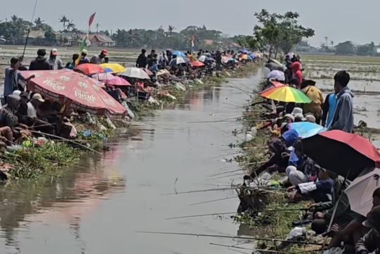 Keseruan lomba memancing ikan di parit di Kampung Pulopipisan, Desa Karangjaya, Kecamatan Pebayuran, Kabupaten Bekasi.