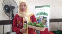 Kelompok UMKM Kebaya berhasil mengolah buah pedada dari tanaman mengrove jenis sonneratia caseolaris menjadi berbagai produk makanan dan minuman, salah satunya adalah sirup mangrove yang kaya akan manfaat.