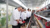 Menteri Koordinator Bidang Pangan Republik Indonesia, Zulkifli Hasan, melakukan kunjungan kerja ke Kopeng, Jawa Tengah, untuk meninjau langsung program pemberdayaan yang dijalankan oleh PT Permodalan Nasional Madani (PNM). Salah satunya program ketahanan pangan ayam petelur di Rumah Pangan PNM.