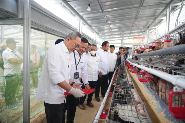 Menteri Koordinator Bidang Pangan Republik Indonesia, Zulkifli Hasan, melakukan kunjungan kerja ke Kopeng, Jawa Tengah, untuk meninjau langsung program pemberdayaan yang dijalankan oleh PT Permodalan Nasional Madani (PNM). Salah satunya program ketahanan pangan ayam petelur di Rumah Pangan PNM.