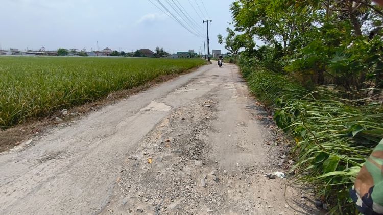 Warga Kampung Wangkal, Desa Kalijaya, Kecamatan Cikarang Barat, Kabupaten Bekasi, mendesak developer perumahan Griya Hasanah untuk bertanggung jawab atas kerusakan jalan dan saluran air yang disebabkan oleh aktivitas mobil proyek. Jalan yang menjadi akses utama antara Kecamatan Cikarang Barat dan Cibitung tersebut kini rusak parah, sementara saluran drainase tersumbat, memicu banjir saat hujan.