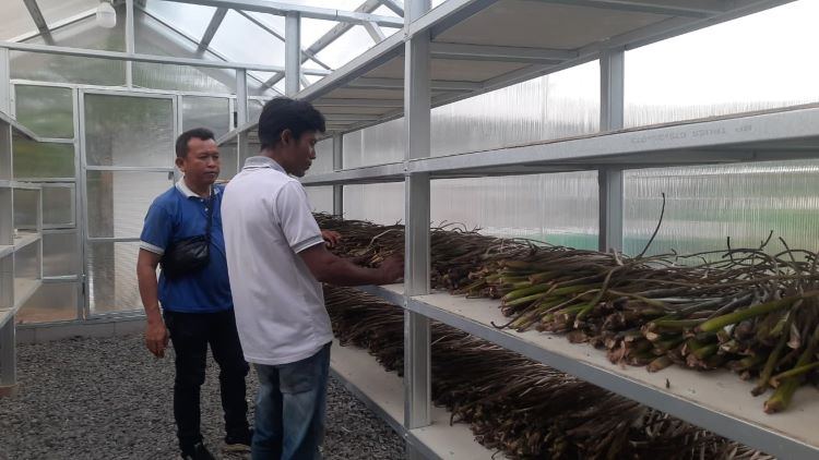 Komunitas Bambu Kuning yang berlokasi di Desa Pasirsari, Kecamatan Cikarang Selatan, Kabupaten Bekasi memanfaatkan teknologi solar driyer home atau rumah pengering tenaga surya untuk mengolah eceng gondok menjadi kerajinan tangan bernilai tinggi.