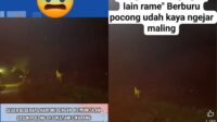 Viral di media sosial adanya penampakan pocong di Kampung Kempes, Desa Sukamulya, Kecamatan Sukatani, Kabupaten Bekasi. Dalam video itu nampak sejumlah warga berlarian sambil menyoroti senter ke arah pohon kelapa.