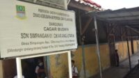 Sekolah Dasar Negeri (SDN) Simpangan 01 yang berlokasi di Jalan Raya Lemahabang, Desa Simpangan, Kecamatan Cikarang Utara, Kabupaten Bekasi telah ditetapkan menjadi bangunan cagar budaya. Dengan usianya yang telah mencapai lebih dari satu abad, sekolah ini memiliki nilai sejarah dan kebudayaan yang sangat penting untuk dilestarikan.