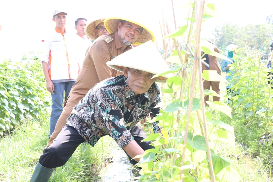 Pada tahun 2025 Pemerintah Desa Sukadami mengalokaksi Rp309.780.000 untuk ketahanan pangan yang bersumber dari Dana Desa. Meski jumlah tersebut terlihat besar, nilai tersebut belum memenuhi ketentuan minimal 20% dari total Dana Desa sesuai Permendes No. 2 Tahun 2024.