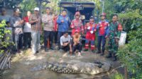 Seekor buaya muara dengan ukuran besar berhasil dievakuasi dari sebuah rumah kosong di Kampung Kalibaru, Desa Sukatenang, Kecamatan Sukawangi, Kabupaten Bekasi. Proses evakuasi dilakukan oleh petugas pemadam kebakaran dengan dibantu oleh komunitas pecinta reptil dan warga setempat pada Jumat (16/01).