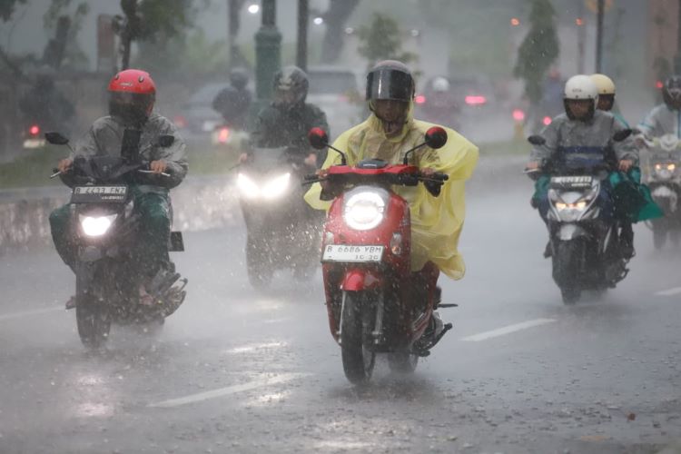 BPBD Kabupaten Bekasi mengimbau masyarakat untuk tetap waspada selama cuaca ekstrem berlangsung dan meminta warga segera melapor jika menemukan pohon yang berpotensi tumbang atau menghadapi kondisi darurat lainnya.