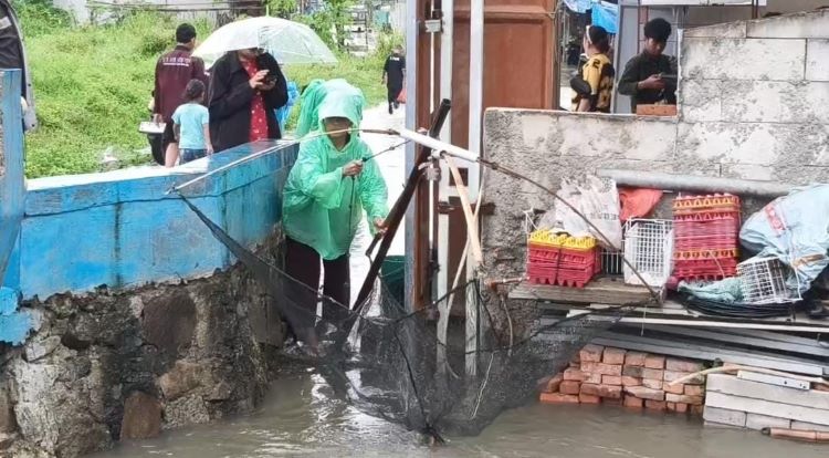 Di tengah banjir yang melanda sejumlah wilayah di Kabupaten Bekasi, sejumlah warga justru menemukan cara unik untuk mengisi waktu sekaligus mendapatkan penghasilan tambahan. Berbekal alat tangkap sederhana seperti serok jaring, jala, hingga ancok atau jaring persegi empat, warga berhasil mendapatkan aneka jenis ikan seperti lele, wader, gabus, hingga lundu saat banjir.