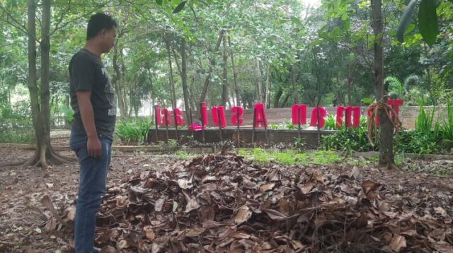 Daun ketapang yang sering kali dianggap remeh ternyata memiliki nilai jual tinggi di pasar internasional, khususnya Kanada dan Amerika Serikat. Daun ini dikenal memiliki manfaat besar, terutama dalam dunia perawatan ikan hias dan produk kecantikan alami. Namun, di Taman Aspirasi DPRD Kabupaten Bekasi, daun tersebut tampak berserakan tanpa pemanfaatan yang optimal.