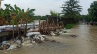 Tanggul Sungai Citarum yang berada di Desa Pantai Bakti, Kecamatan Muaragembong, Kabupaten Bekasi, jebol pada Senin (19/01) malam. Akibat peristiwa tersebut, air sungai meluap dan merendam pemukiman warga dengan ketinggian air mencapai 10 hingga 100 sentimeter.
