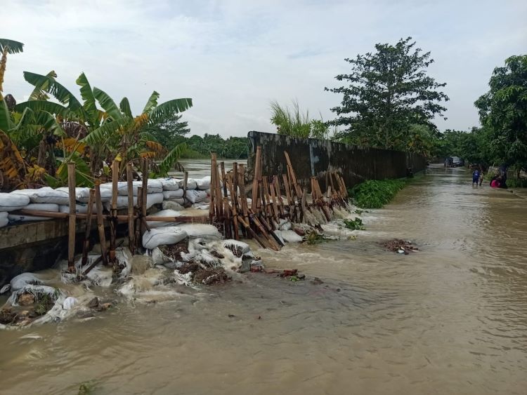 Tanggul Sungai Citarum yang berada di Desa Pantai Bakti, Kecamatan Muaragembong, Kabupaten Bekasi, jebol pada Senin (19/01) malam. Akibat peristiwa tersebut, air sungai meluap dan merendam pemukiman warga dengan ketinggian air mencapai 10 hingga 100 sentimeter.