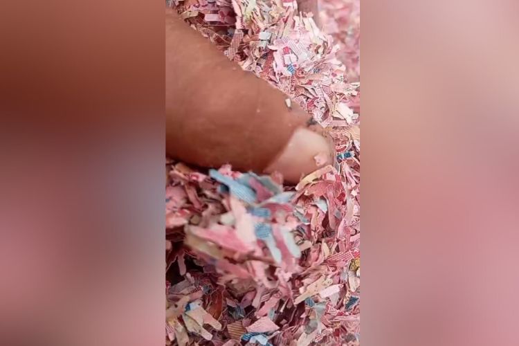 Cacahan kertas diduga uang pecahan Rp 50 ribu dan Rp100 ribu ditemukan warga di tempat pembuangan sampah (TPS) liar di Desa Taman Rahayu, Kecamatan Setu, Kabupaten Bekasi belum lama ini.
