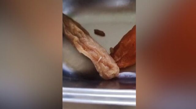 - Sebuah video yang memperlihatkan adanya belatung pada menu Makan Bergizi Gratis (MBG) di Sekolah Menengah Pertama Negeri (SMPN) 8 Tambun Selatan viral jejaring di media sosial. Dalam video tersebut, belatung terlihat berada di dalam sosis yang disajikan bersama nasi goreng dalam satu rantang makanan.