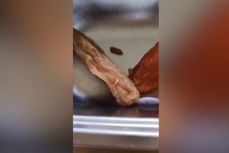 - Sebuah video yang memperlihatkan adanya belatung pada menu Makan Bergizi Gratis (MBG) di Sekolah Menengah Pertama Negeri (SMPN) 8 Tambun Selatan viral jejaring di media sosial. Dalam video tersebut, belatung terlihat berada di dalam sosis yang disajikan bersama nasi goreng dalam satu rantang makanan.