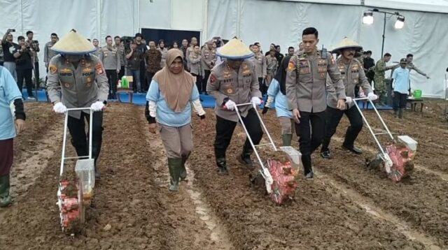Dalam upaya mendukung program swasembada pangan nasional, lahan tidur seluas 47,8 hektar di Kampung Tembong Gunung, Desa Sukamahi, Kecamatan Cikarang Pusat, Kabupaten Bekasi, kembali ditanami jagung. Kegiatan ini dipantau langsung oleh Wakil Kepala Kepolisian Republik Indonesia, Komjen Dedi Prasetyo.
