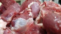 Ilustrasi daging kurban