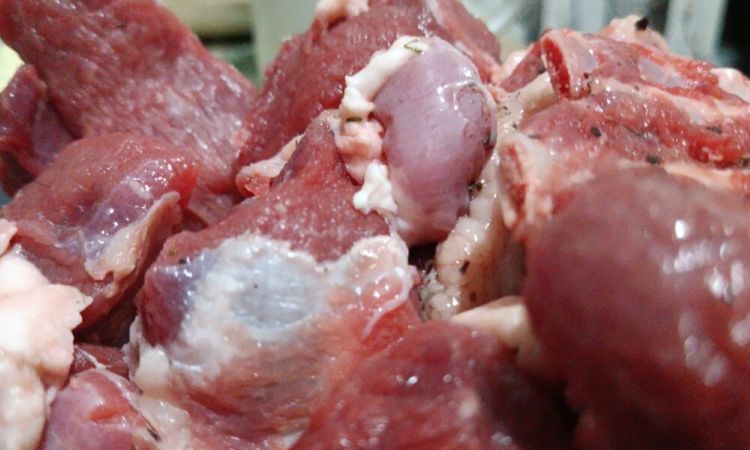 Ilustrasi daging kurban