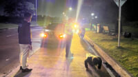 Jajaran Kepolisian Sektor Cikarang Pusat saat memberikan sanksi disiplin berupa hukuman push up kepada seorang pengendara sepeda motor yang kedapatan tidak mengenakan helm.