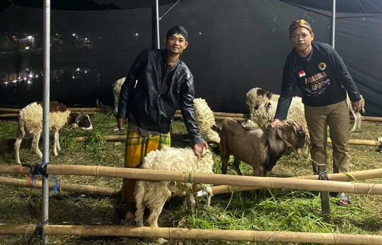 Lapak hewan kurban milik Majlis Padepokan Dakwah Sunan Kalijaga (Padasuka) Farm yang berlokasi di Perumahan Griya Bekasi Permai 2, Desa Cibening, Kecamatan Setu.