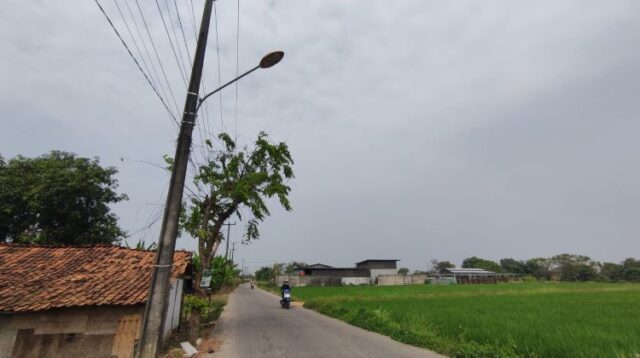 Di Kampung Gandaria, Desa Cipayung, Kecamatan Cikarang Timur, Kabupaten Bekasi, sejumlah petani justru menutup lampu PJU menggunakan lumpur hingga cat semprot. Alasannya, sinar lampu tersebut dianggap berdampak buruk pada pertumbuhan padi mereka.