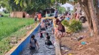 Tak hanya warga sekitar, banyak juga pengunjung datang dari luar daerah setelah lokasi ini viral di media sosial. Mereka penasaran dengan konsep wisata sederhana yang memanfaatkan saluran irigasi tanpa mengganggu fungsinya.