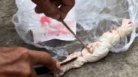 Warga Kampung Kenyam, Desa Karangpatri, Kecamatan Pebayuran, Kabupaten Bekasi, digegerkan dengan penemuan bungkusan kain putih yang disebut menyerupai pocong di depan pintu rumah Abdul Walim, salah seorang tokoh masyarakat setempat, Senin (24/08) pagi.