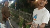 Warga di lingkungan RT 52 RW 13, Desa Jayasampurna, Kecamatan Serang Baru, Kabupaten Bekasi, menangkap seekor ular sanca sepanjang sekitar 3 meter pada Minggu (23/08) malam.
