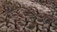 Upaya percepatan tanam padi di Kecamatan Tembelang, Kabupaten Bekasi, terkendala minimnya pasokan air. Kerusakan tanggul Saluran Sekunder (SS) Pisang Batu membuat sekitar 700 hektare areal persawahan di tiga desa belum dapat kembali ditanami setelah terdampak kemarau.