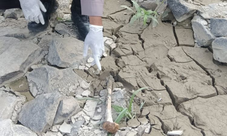 Warga di bantaran Sungai Citarum, Kecamatan Pebayuran, Kabupaten Bekasi, dikejutkan dengan penemuan tengkorak yang diduga merupakan bagian tubuh manusia.