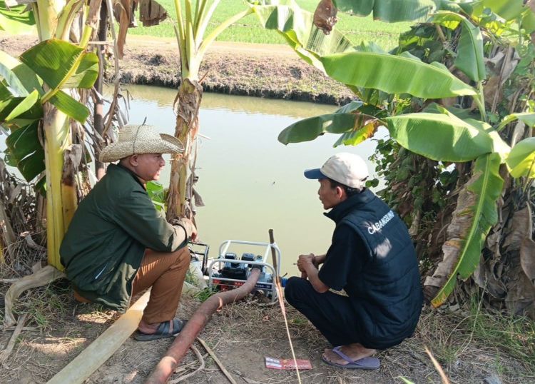 inas Pertanian Kabupaten Bekasi mengoptimalkan pompa air bantuan pemerintah untuk memenuhi kebutuhan air lahan pertanian yang terdampak keterbatasan pasokan selama kemarau.