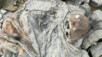 tengkorak Warga di bantaran Sungai Citarum, Kecamatan Pebayuran, Kabupaten Bekasi, dikejutkan dengan penemuan tengkorak yang diduga merupakan bagian tubuh manusia.