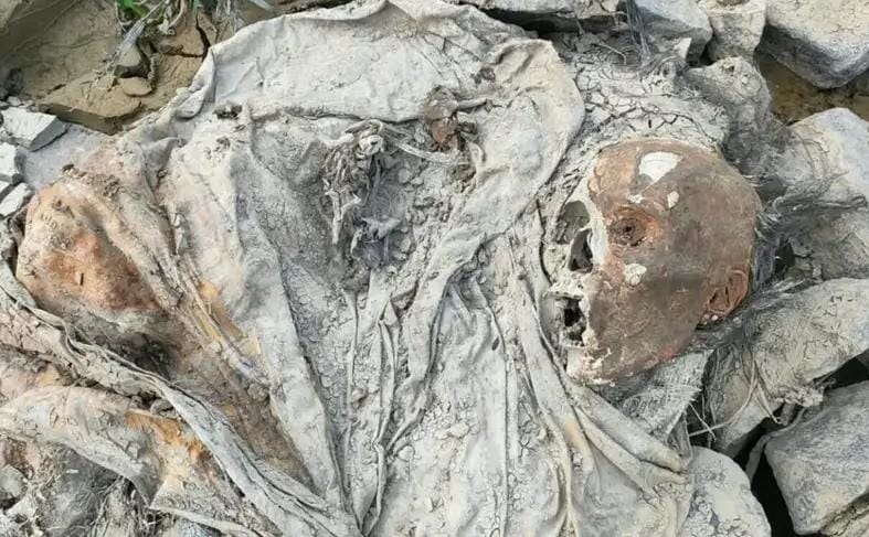 Warga di bantaran Sungai Citarum, Kecamatan Pebayuran, Kabupaten Bekasi, dikejutkan dengan penemuan tengkorak yang diduga merupakan bagian tubuh manusia.