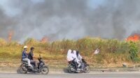 Kebakaran melanda lahan kosong di sekitar Patung Kuda Jababeka, Kecamatan Cikarang Timur, Kabupaten Bekasi, Rabu (21/10) siang.