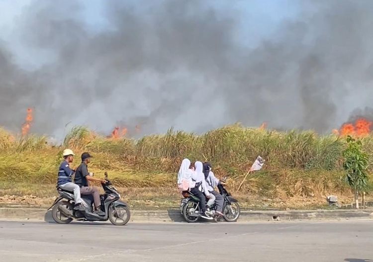 Kebakaran melanda lahan kosong di sekitar Patung Kuda Jababeka, Kecamatan Cikarang Timur, Kabupaten Bekasi, Rabu (21/10) siang.